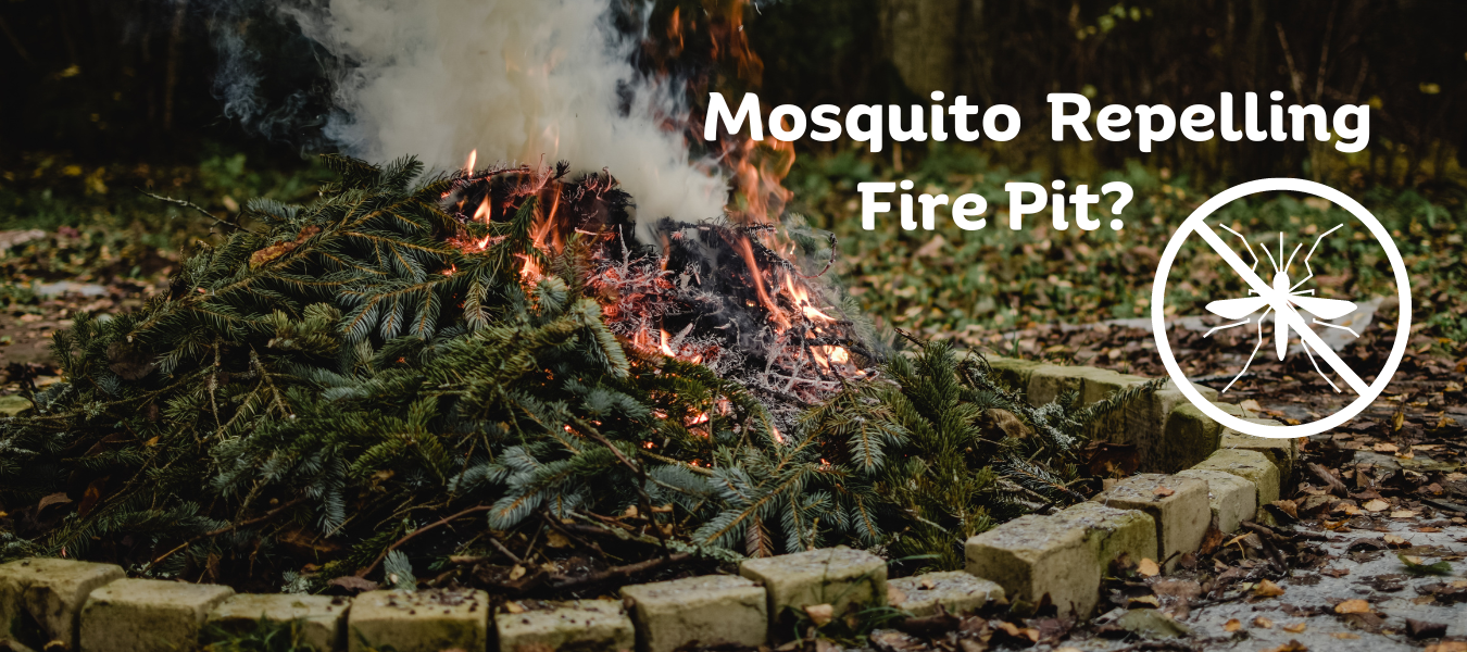 What Can You Burn in a Fire Pit to Keep Mosquitoes Away?